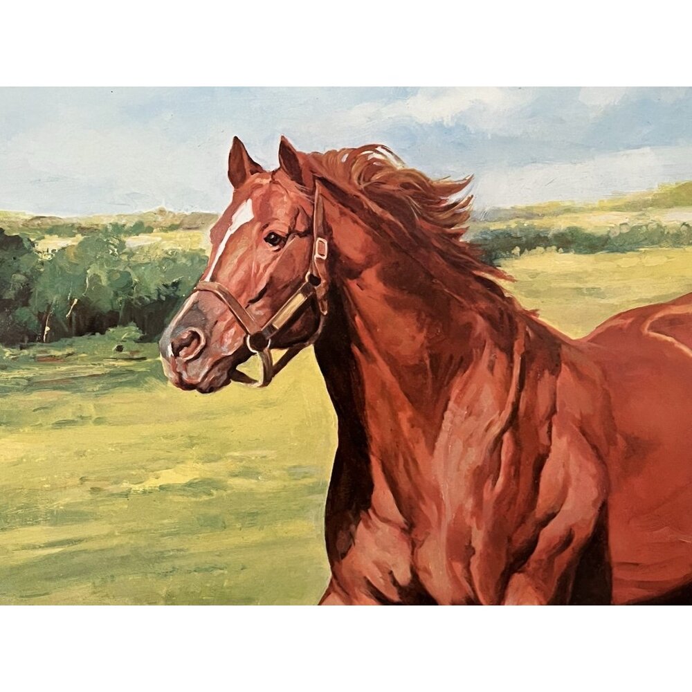 Secretariat Kentucky Derby Racehorse Lithograph Art Artist Signed Triple Crown - Picture 4 of 8